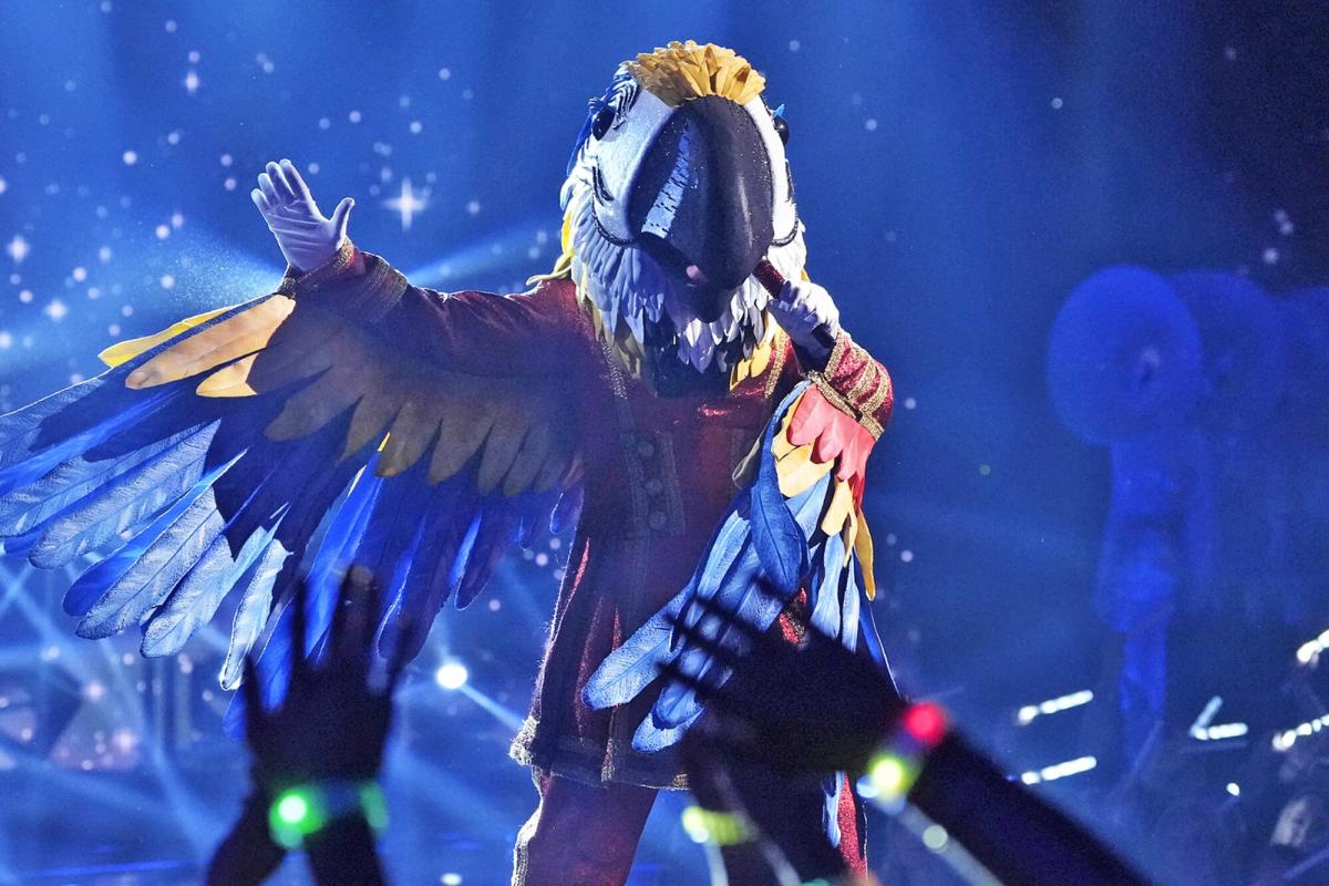 Masked Singer season 9 winner Medusa on sharing emotional reveal with Macaw: 'We were kindred spirits'