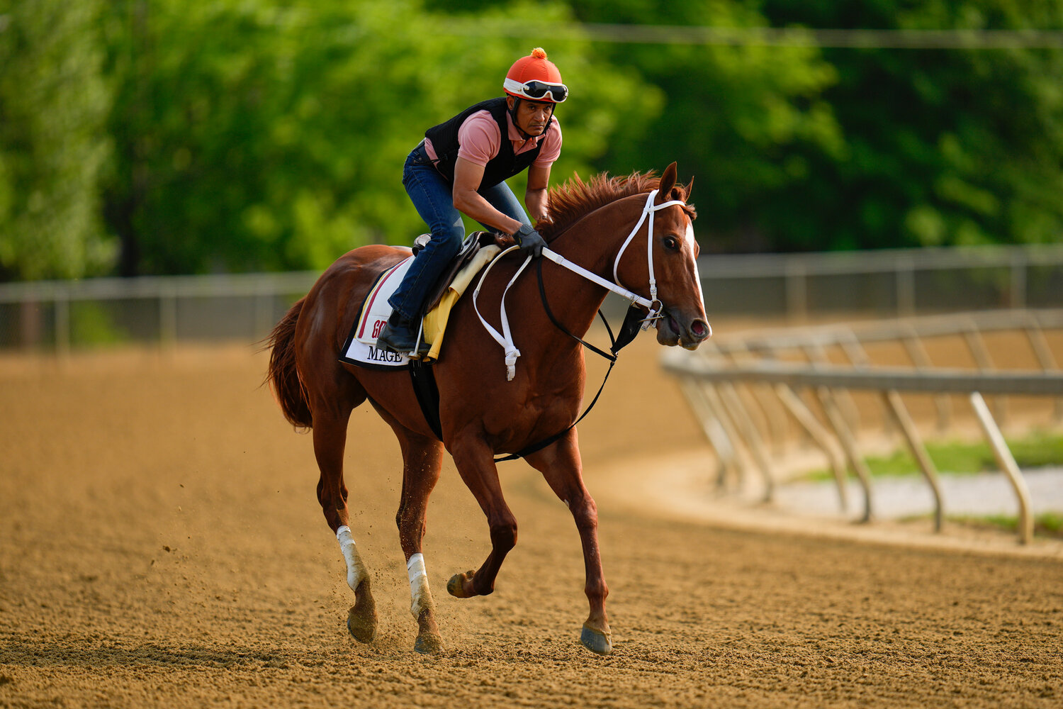 Top contending horse scratched from the Preakness before Triple Crown race